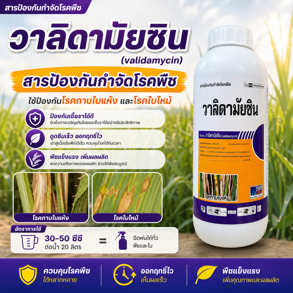 วาลิดามัยซิน ( 1 ลิตร ) สารป้องกันและกำจัดโรคพืช โรคกาบใบแห้ง ใบไหม้ ใบไหม้ใบติด ในทุเรียน