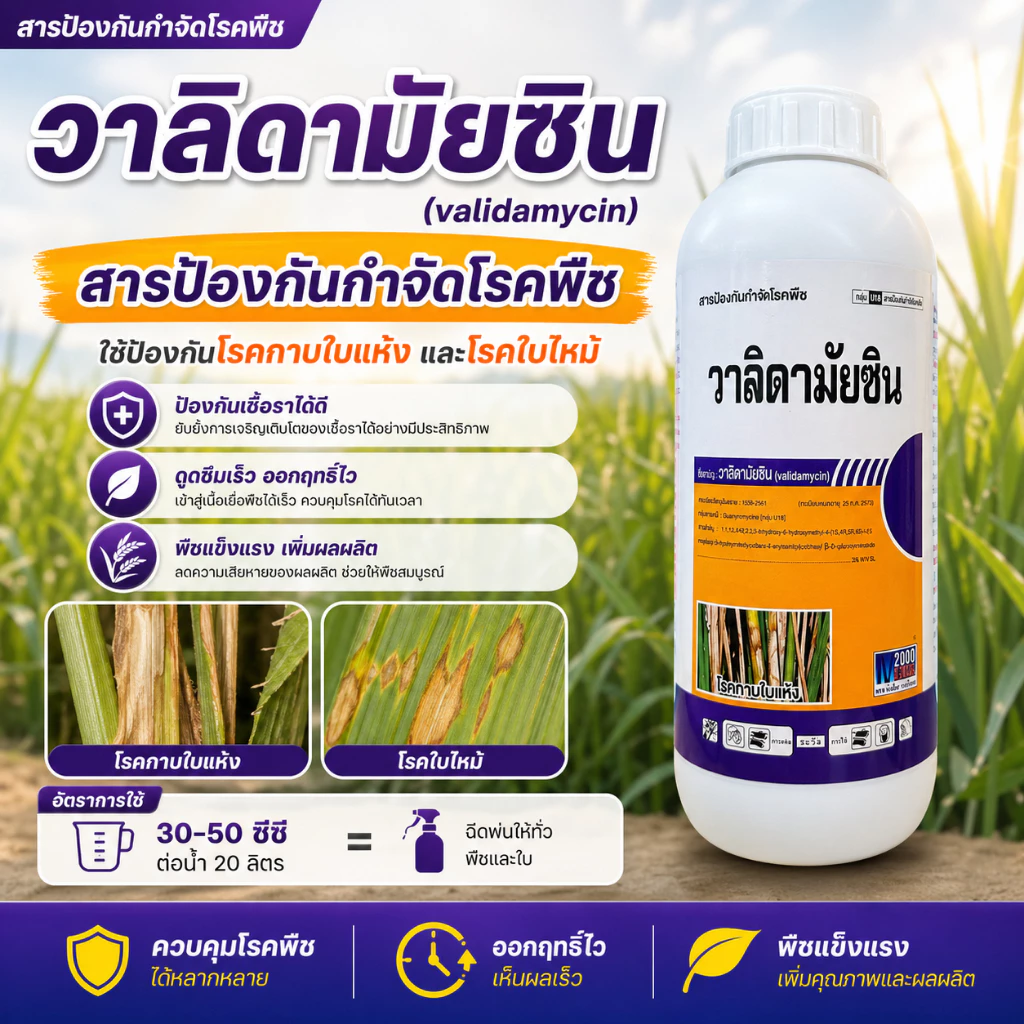 วาลิดามัยซิน ( 1 ลิตร ) สารป้องกันและกำจัดโรคพืช โรคกาบใบแห้ง ใบไหม้ ใบไหม้ใบติด ในทุเรียน