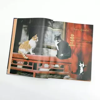 หนังสือปกแข็ง พิมพ์สี “แมวหลวงแห่งกู้กง“ (เล่มเดียวจบ) - Hongsamut