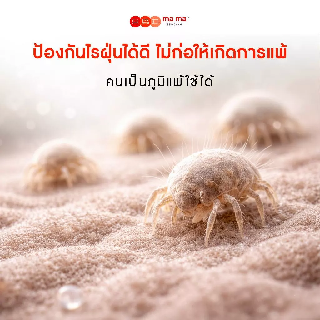 ที่นอน PVC กันน้ำ Mama Bedding รุ่น Henry หนา 6 นิ้ว thumbnail 5