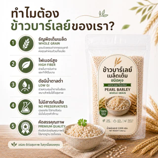 ข้าวบาร์เลย์เมล็ดเต็ม ชนิดหุง 500g | Pearl Barley Whole Grain | ไฟเบอร์สูง Low GI หุงง่าย นุ่ม อร่อย