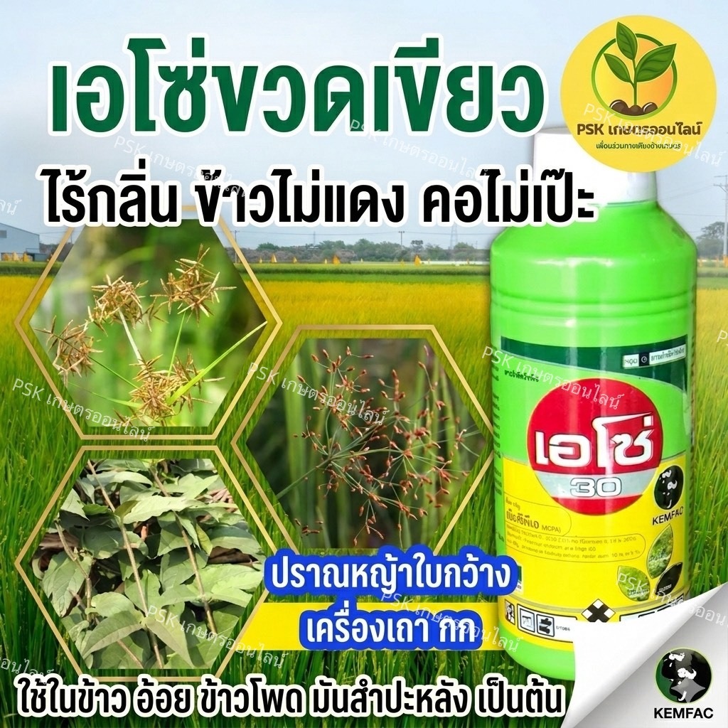 ☘️เอโซ่ 30☘️ขวดเขียว💖 ✔️ชื่อสามัญ : เอ็มซีพีเอ 30% SL (กลุ่ม 0)