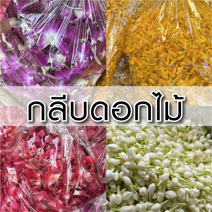 (ดอกไม้สด) กลีบดอกไม้ -  1KG โปรยงานเชงเม้ง | กลีบดาวเรือง กลีบกุหลาบ ดอกกล้วยไม้ ดอกบานไม่รู้โรย  - สีสด สะอาด พร้อมใช้