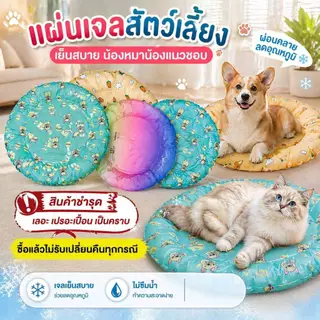 Boqi Pet Cool mat เย็นสบาย แผ่นเจลเย็น ที่นอนเย็น แผ่นทำความเย็น สินค้าเลอะ เปอะเปื่อน SALE 1010