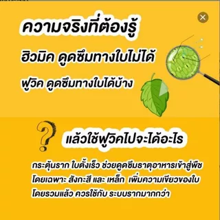เอ-แบล็ค (A-Black) สารบำรุงพืชสูตรเข้มข้น ฟื้นฟูต้นหลังเก็บเกี่ยว ช่วยแตกราก แตกกอ สำหรับพืชทุกชนิด (ขนาด 1 ลิตร)