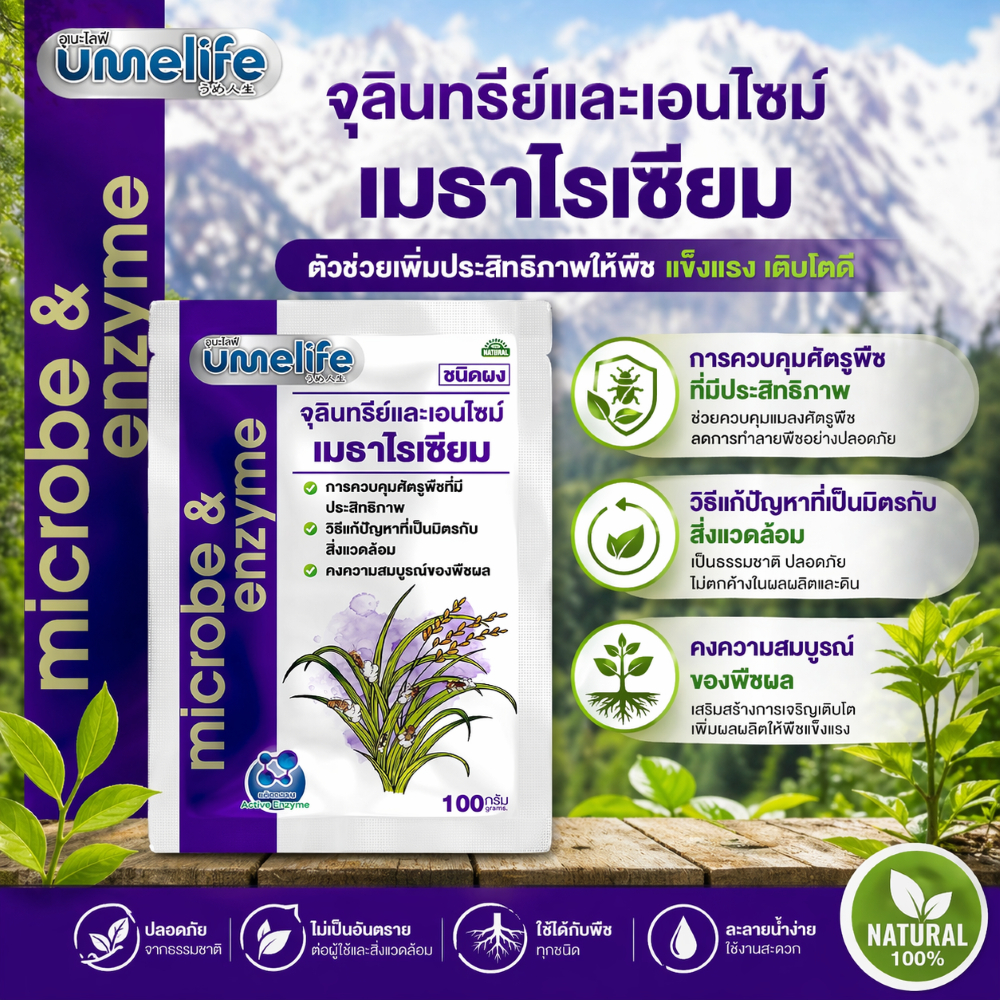 อูเมะไลฟ์ เมธาไรเซียม 100 กรัม จุลินทรีย์กำจัดแมล กำจัดด้วง ตัวอ่อนด้วง กำจัดปลวก กำจัดแมลงใต้ดิน