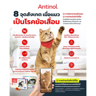 Antinol Cat แอนทินอล อาหารเสริมไขมัน บำรุงข้อ สำหรับแมว 1 กล่อง (60 เม็ด) Vetz Petz