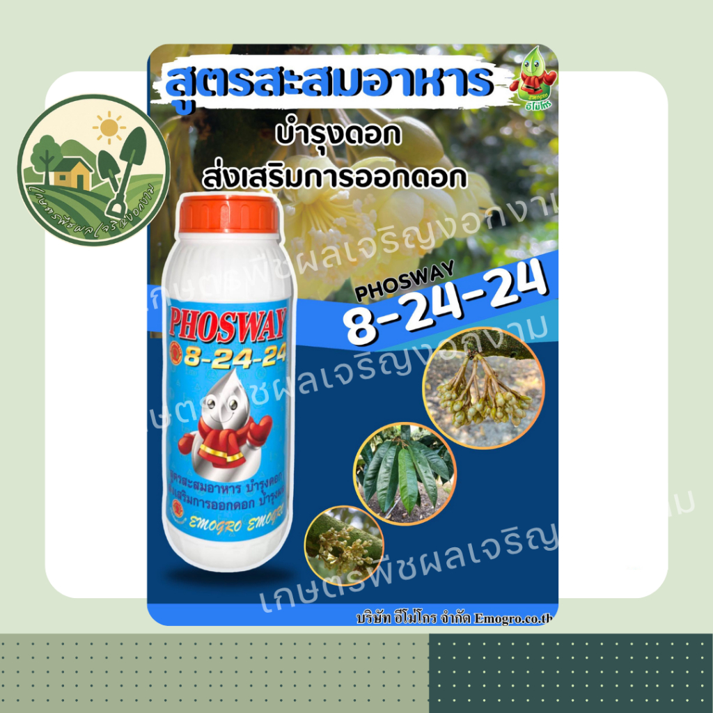 ปุ๋ยน้ำ 8-24-24 อีโม่โกร 1ลิตร เตรียมต้นก่อนออกดอก สะสมอาหาร ช่วยบำรุงดอกและผล