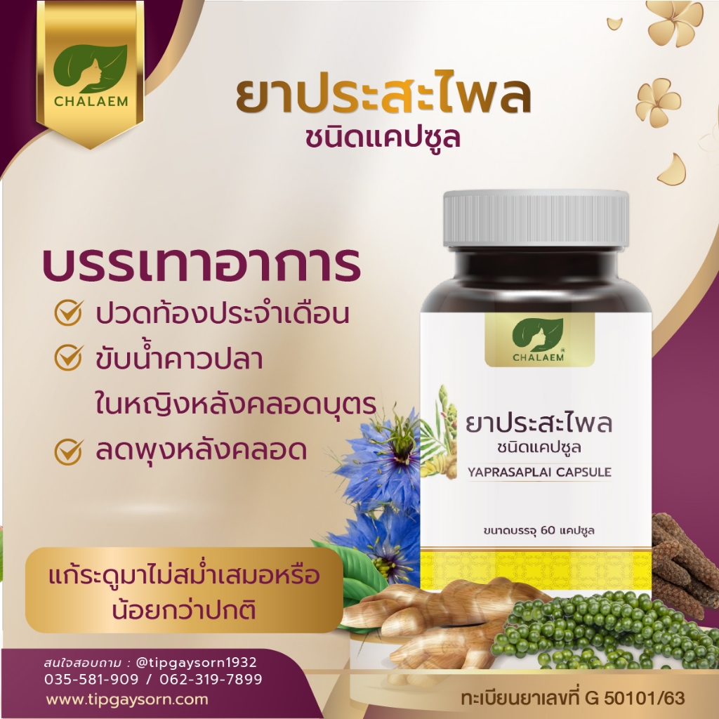 ทิพย์เกสร ประสะไพล แคปซูล สมุนไพรฟื้นฟูหลังคลอด ช่วยลดอาการปวดท้องประจำเดือน บำรุงเลือดผู้หญิง