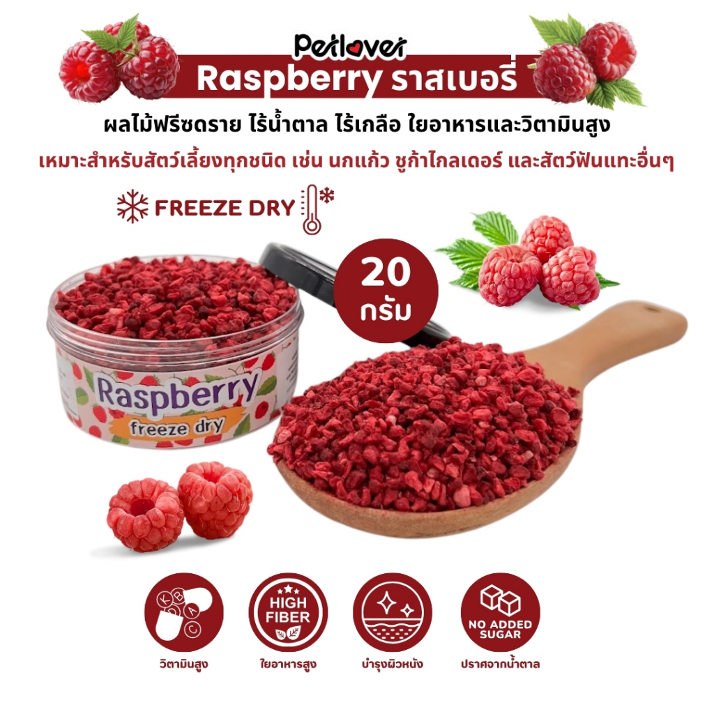 Raspberry  ราสเบอรร์รี ฟรีซดราย ไร้น้ำตาล ไร้เกลือ อาหารนกแก้ว และสัตว์ฟันแทะทุกชนิด (กระปุก 20G)