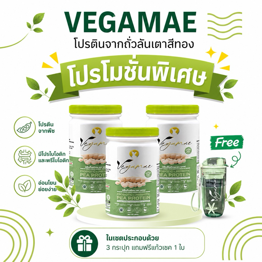 โปรตีนเวกาเม่(VEGAMAE) set 3 กระปุก แถมแก้วเชค 1 ใบ โปรตีนพืชจากพืช 100% ไม่มีน้ำตาล เจทานได้