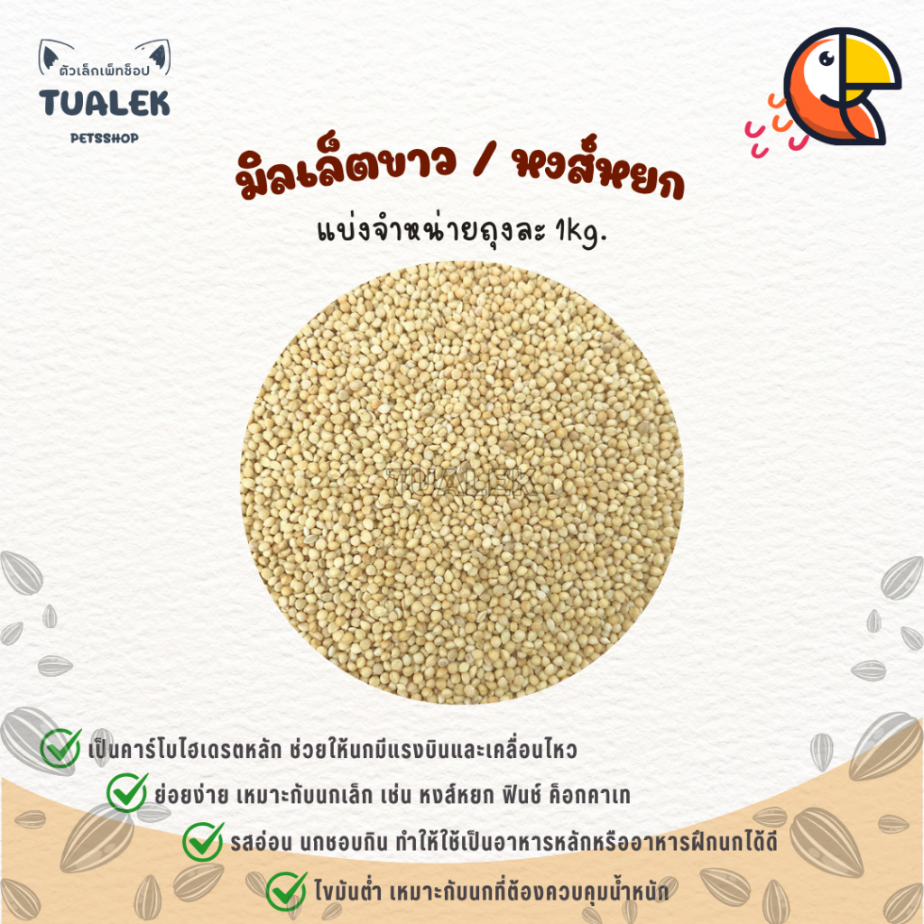 [White millet] อาหารนก นกหงส์หยก มิลเล็ตขาว มิลเล็ตนกหงส์หยก 1kg.