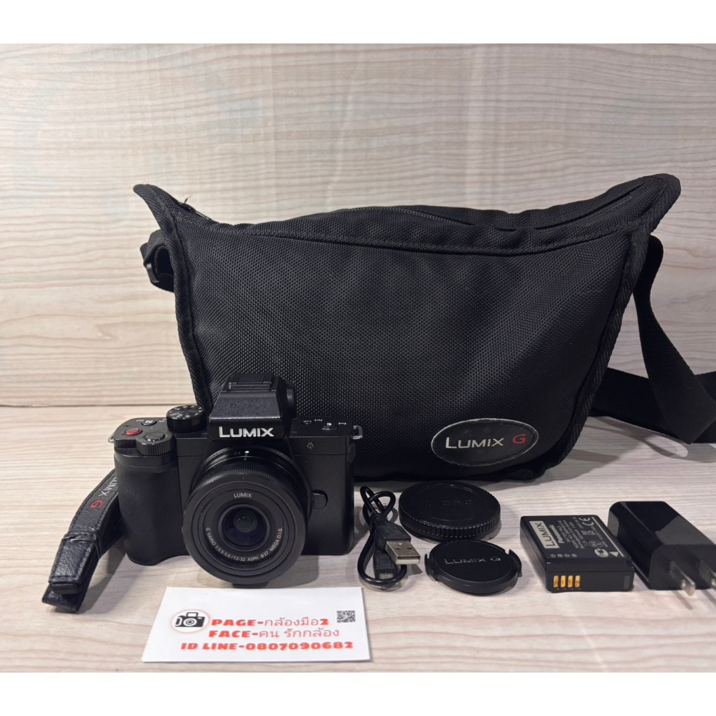 PANASONIC LUMIX G100
