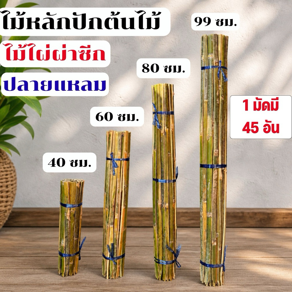 ไม้ไผ่ผ่าซีก ไม้หลักปักต้นไม้ ไม้หลักยึดต้นไม้ 40ซม. 60ซม. 80ซม. 99ซม. (1 มัดมี 45 อัน) ป้องกันลำต้นโยก ช่วยพยุงลำต้น
