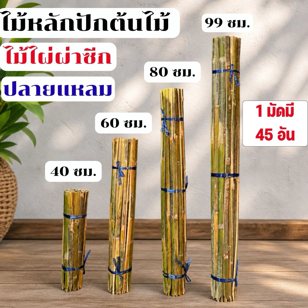 ไม้ไผ่ผ่าซีก ไม้หลักปักต้นไม้ ไม้หลักยึดต้นไม้ 40ซม. 60ซม. 80ซม. 99ซม. (1 มัดมี 45 อัน) ป้องกันลำต้นโยก ช่วยพยุงลำต้น