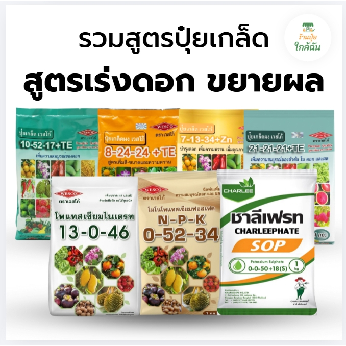 ปุ๋ยเกล็ดสูตรเร่งดอกขยายผล แนนซี่ ชาลีเฟรท เวสโก้ 8-24-24, 10-52-17, 13-0-46, 7-13-34, 0-52-34, 0-0-
