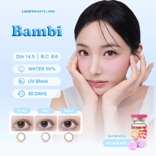 คอนแทคเลนส์ Bambi Brown / Hazel / Gray (Kitty Kawaii) ขนาดกลาง 🌷 รุ่นใหม่ ตาหวาน แบ๊ว เหมือนกวางน้อย