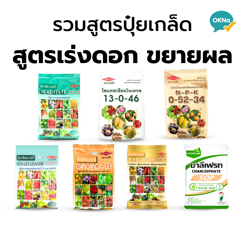 ปุ๋ยเกล็ดสูตรเร่งดอกขยายผล แนนซี่ ชาลีเฟรท เวสโก้ 8-24-24, 10-52-17, 13-0-46, 7-13-34, 0-52-34, 0-0-