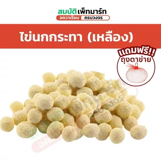 วัสดุกรอง เซรามิค หินลาวา หินภูเขาไฟ 500กรัม / 1 กิโลกรัม รวม 13 แบบคุณภาพสูง