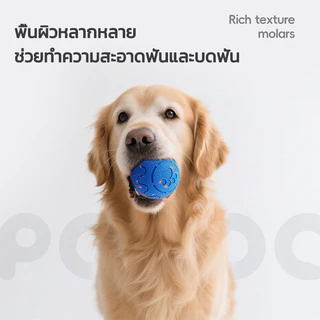 【กัดเท่าไหร่ก็ไม่พัง】ลูกบอลของเล่นไฟฟ้าสําหรับแมวและสุนัข แก้เหงา ขัดฟัน ของเล่นสุนัข ลูกบอลแมว ลูกบอลสำหรับสัตว์เลี้ยง