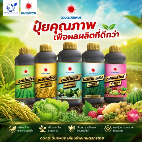 ปุ๋ยน้ำ ดวงตะวันเพชร อะมิโนบำรุงผลขยายผล ขนาด1ลิตร