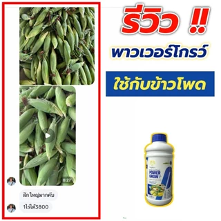 #Powergrow#พาวเวอร์โกรว์#5แถม3ลิตร