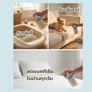 สเปรย์ดับกลิ่นฉี่จากต้นตอ สัตว์เลี้ยง ดับกลิ่นทรายแมว สเปรย์ทำความสะอาด อเนกประสงค์ สเปรย์ดับกลิ่นไม่พึงประสงค์