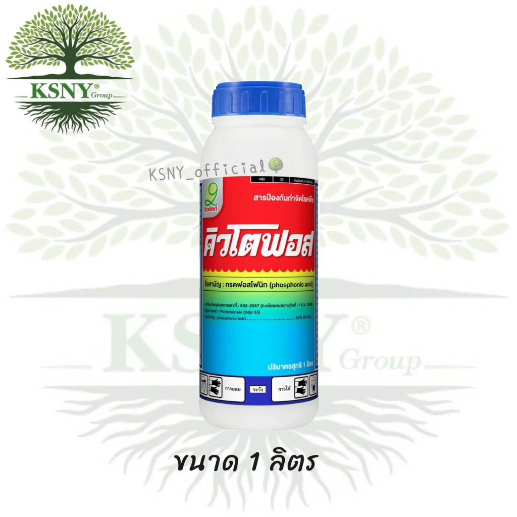 คิวโตฟอส 404 (ขนาด 1 ลิตร)(กรดฟอสโฟนิก) คิวยีลด์ ยาฝังเข็ม ทาแผล ราดโคน ฉีดพ่นใบ-ลูก
