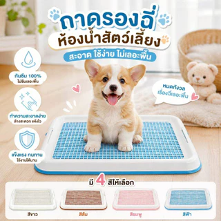 Thai.Th ห้องน้ำสุนัข แผ่นรองฉี่สุนัข ถาดรองฉี่สุนัข ห้องน้ำสัตว์เลี้ยง ถาดรองฉี่สัตว์เลี้ยง #CF-T1(มีราคาส่ง)