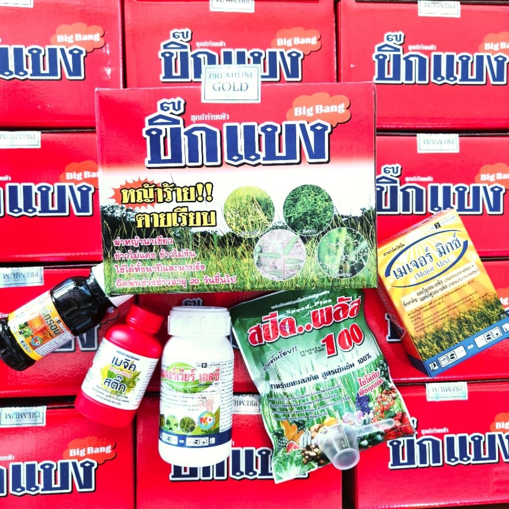 บิ๊กแบง ชุดปราบหญ้าในนาข้าว