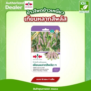 ผักซองศรแดง F1 / OP ขายส่ง ยกแพ็ค รวม เมล็ดพันธุ์ตราศรแดง (ชุดที่ 2) (1แพ็ค=10ซอง)