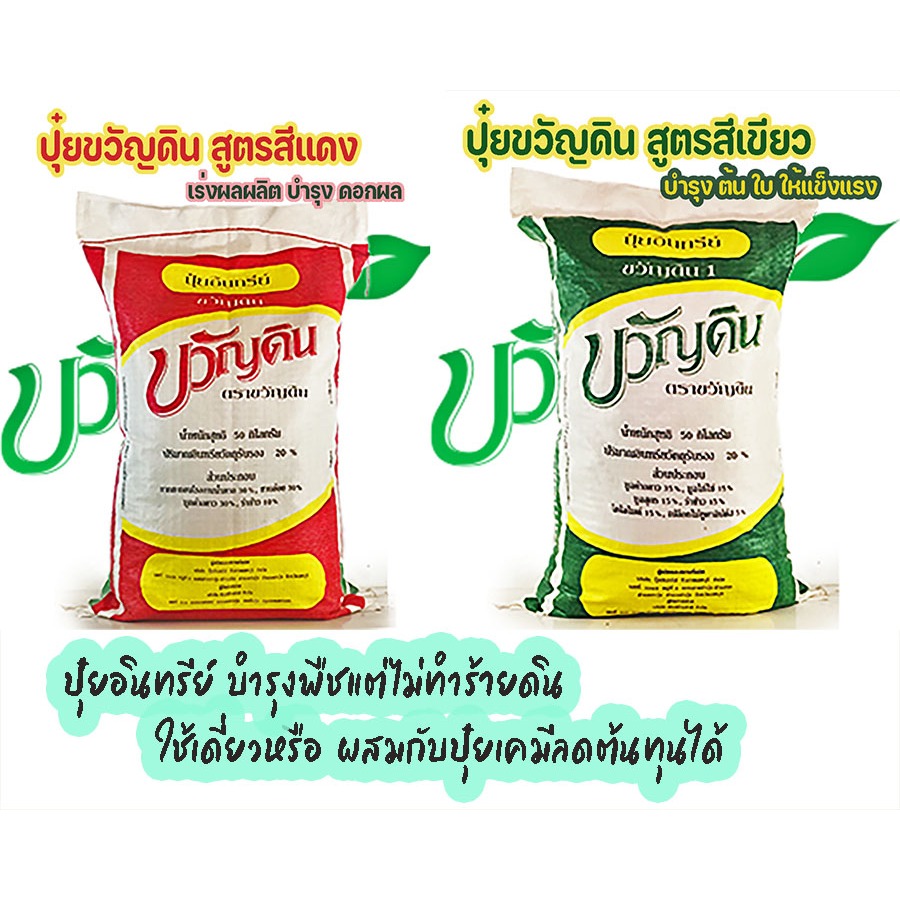 ปุ๋ยอินทรีย์ตราขวัญดิน มี สูตรแดงและเขียว แบ่งขาย 1กิโล ปุ๋ยอินทรีย์ในตำนาน ปุ๋ยจำลอง ปุ๋ยastv
