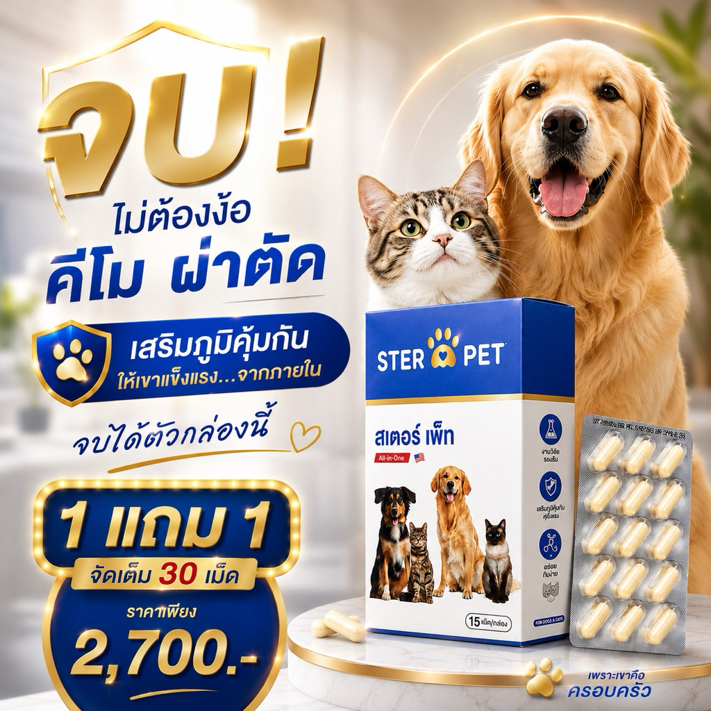 มีส่งด่วน > STER PET  อาหารเสริมน้องๆป่วย ก้อนเนื้อ ยับยั้งมะเร็ง ดูแลครบวงจร – โปรปัง
