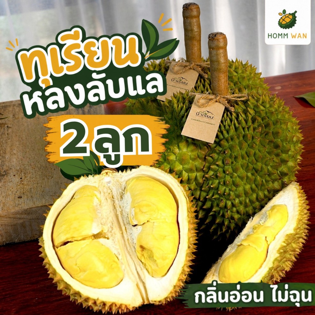 ทุเรียนหลงลับแล 2 ลูก 2.3-2.5kg กลิ่นอ่อนไม่ฉุน ทุเรียนคุณภาพสูง รสชาติอร่อย สดใหม่ สำหรับผู้ที่รักทุเรียน