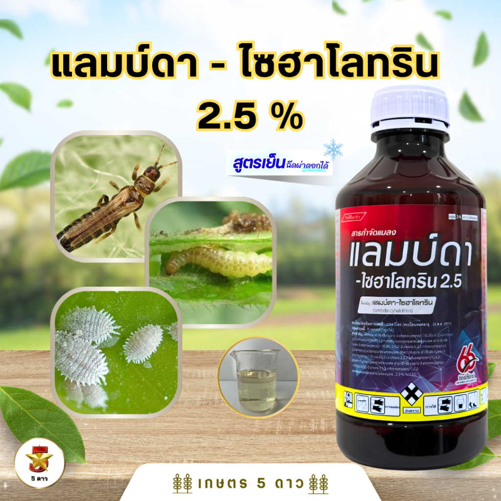 แลมป์ดาไซฮาโลทริน2.5% (ซิกซ์ตี้ซิกซ์) หนอนเจาะสมอฝ้าย หนอนใยผัก