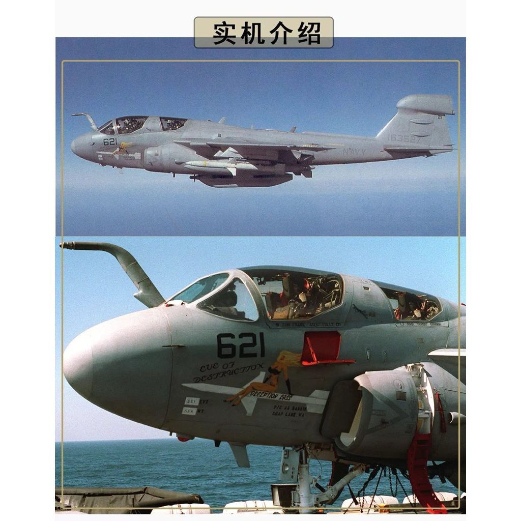 【Pre-Order】 Diecast Model JC WINGS 1:72 – EA-6B Prowler VAQ-141 “Shadowhawks” (JCW-72-EA6B-010) ⚡🛡️
