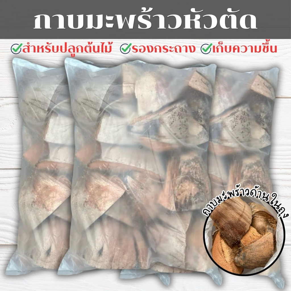 กาบมะพร้าวปลูกกล้วยไม้ ปลูกต้นไม้ กาบมะพร้าวหัวตัด รองก้นกระถาง แบบมีเปลือก วัสดุธรรมชาติ