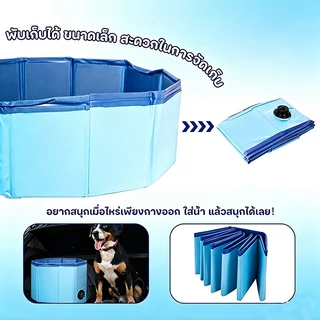 PETWELL สระว่ายน้ำพับได้ สระอาบน้ำสุนัข PVC หนา พกพา สระน้ำสัตว์เลี้ยง