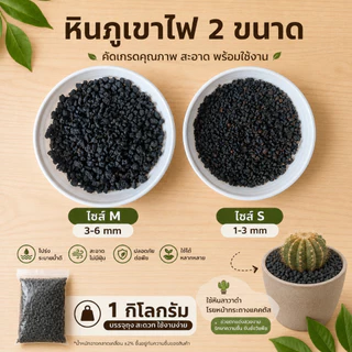 หินภูเขาไฟดำ (หินลาวาดำ Black lava) บรรจุถุง 1 กิโล ขนาด1-5 มิล วัสดุปลูก ผสมดิน โรยหน้ากระถาง แคคตัส (กระบองเพชร) บอนไซ