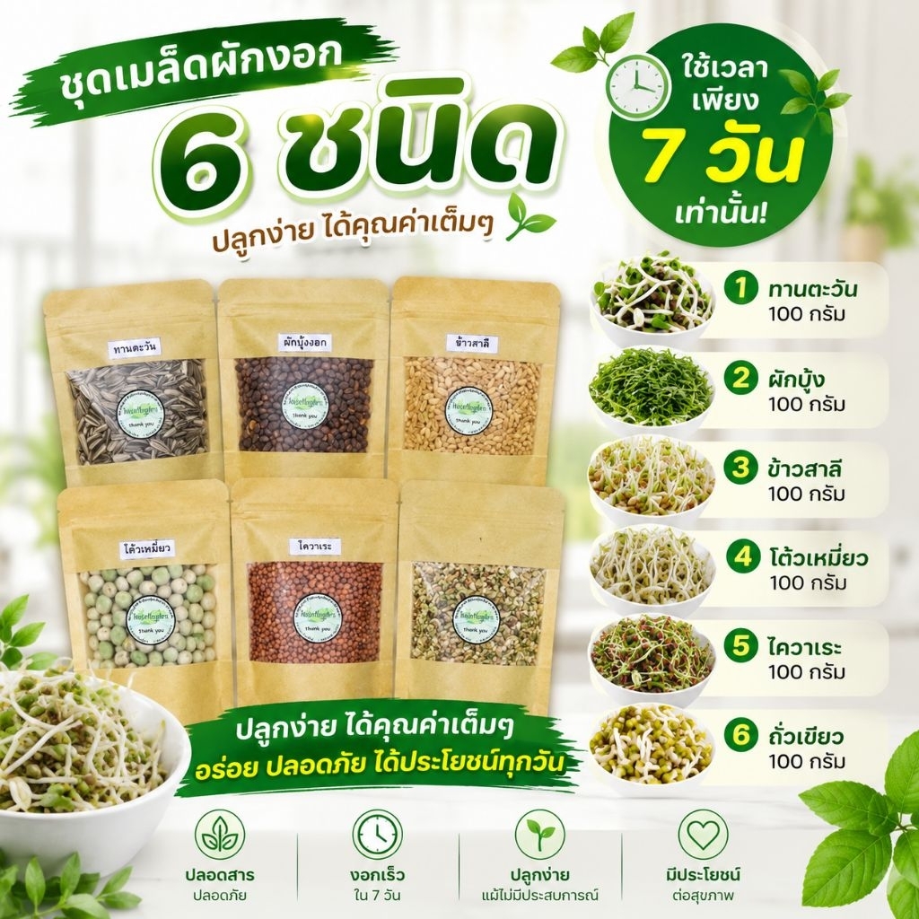 ชุดเมล็ดผักงอก 6  ชนิด ชุดทดลองปลูกแสนประหยัด ใช้เวลาปลูกเพียง 7 วัน