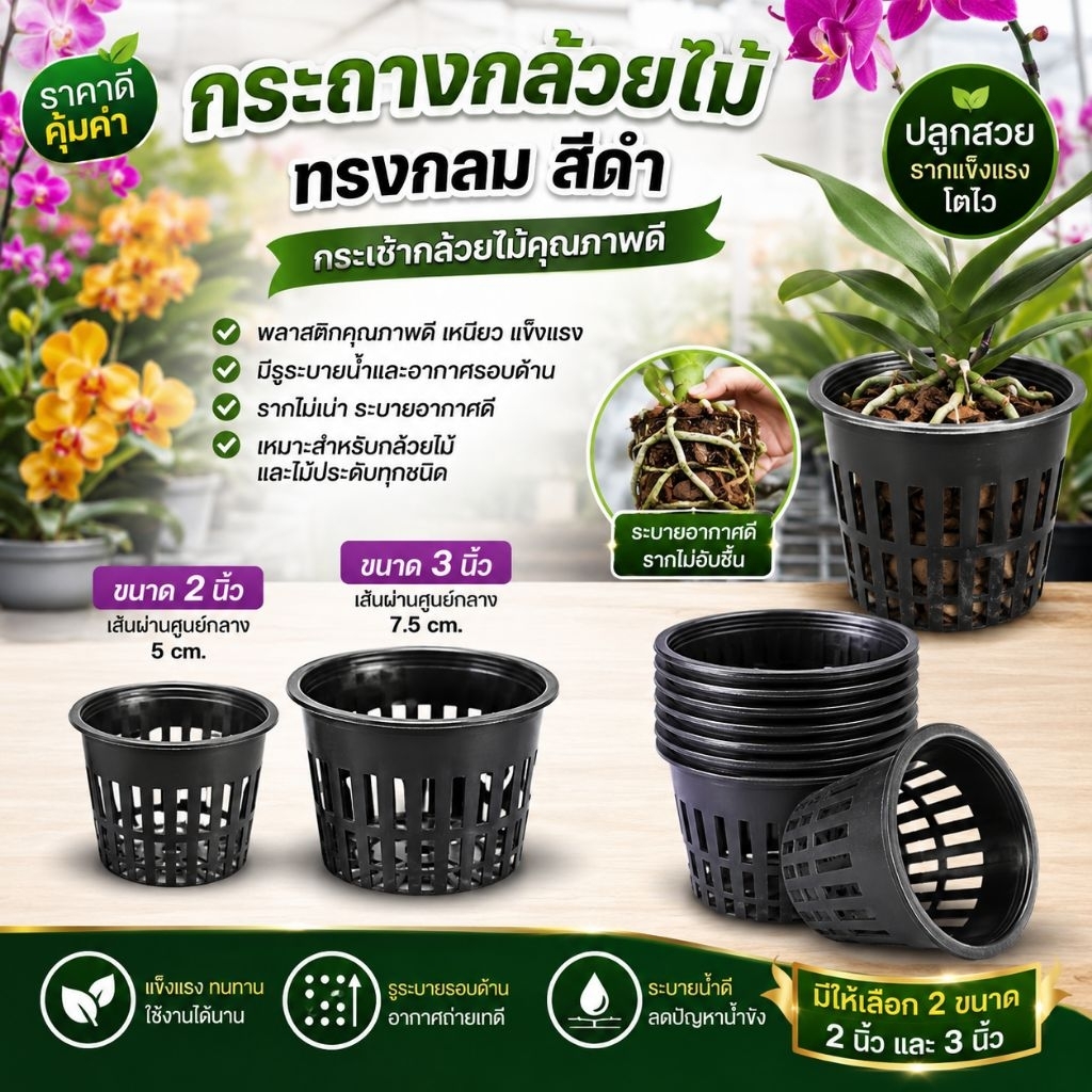 กระถางกล้วยไม้ทรงกลม สีดำ ขนาด 2 นิ้ว และ 3 นิ้ว มีรู กระเช้ากล้วยไม้