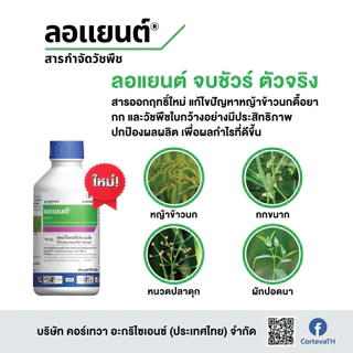 ลอแยนต์ ขนาด 800 ซีซี ฟลอร์ไพรอซิเฟน-เบน สารใหม่ กำจัดหญ้าใบแคบ ใบกว้าง กก หญ้าข้าวนก หญ้าแดง ผักปอด หนวดปลาดุก ข้าวไม่แ