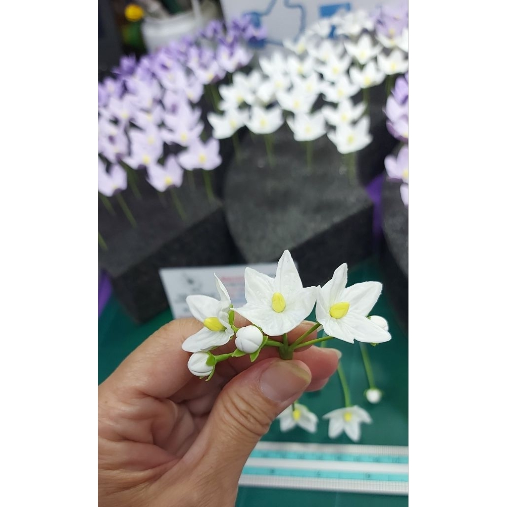 💜ดอกมะเขือ สีขาว ช่อดอกมะเขือ  ทำจากดินไทย ช่อ ละ 49 บ. คะ