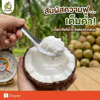 มะพร้าวกะทิ (แบบพร้อมทาน) เนื้อฟู เหนียวนุ่ม สดใหม่ ส่งตรงจากสวนบ้านแพ้ว