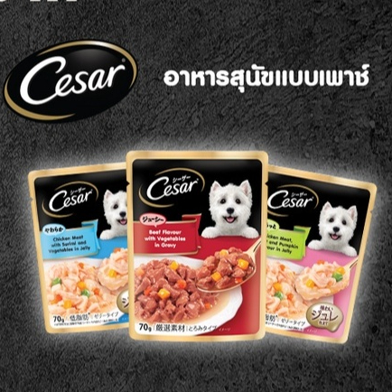 (กล่อง16ซอง) Cesar อาหารสุนัข เปียกสุนัข 70 กรัม (ซีซ่าร์  อาหารเปียก Pouch)