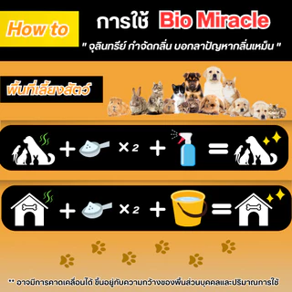 BIO Miracle ผงดับกลิ่นฉี่สัตว์เลี้ยง สูตรออร์แกนิค ดับกลิ่นเหม็นได้จริง
