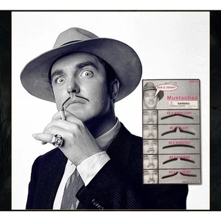 หนวดปลอม หนวดแฟนซี เคราปลอม หนวดโจรสลัด หนวด พรอพ แฟนซี Fake Mustache, Fancy Mustache, Fake Beard, Pirate Mustache, Fanc