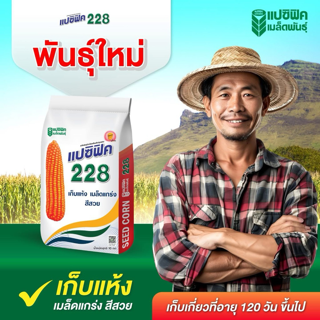เมล็ดพันธุ์ข้าวโพด แปซิฟิค 228 3.5หุน 10กิโลกรัม เก็บเกี่ยวแห้ง น้ำหนักดี แกนเล็ก สีสวย ทนโรคสูง รากลำต้นแข็งแรง ทนแล้ง