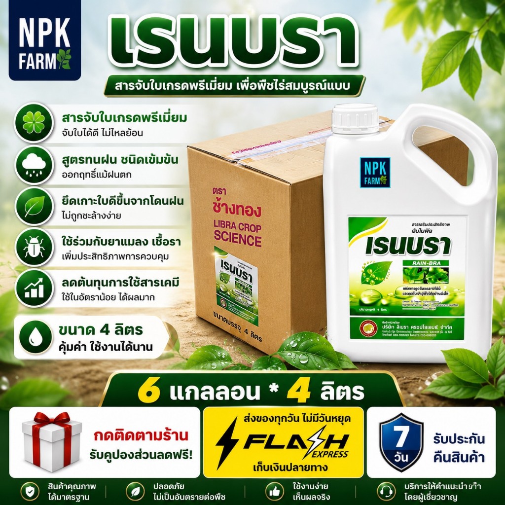 ยกลัง เรนบรา ขนาด 4 ลิตร ยกลัง 6 แกลลอน สารจับใบเข้มข้น สูตรทนฝน สารเพิ่มประสิทธิภาพ ปรับสภาพน้ำ