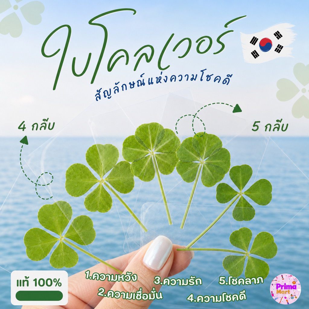 🇰🇷🍀(พร้อมส่ง/แท้)ใบโคลเวอร์ 4และ5แฉก ใบจริง ของแท้จากเกาหลี Leaf Cloverใบไม้แห่งความโชคดี